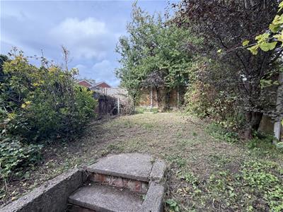 Picture 11